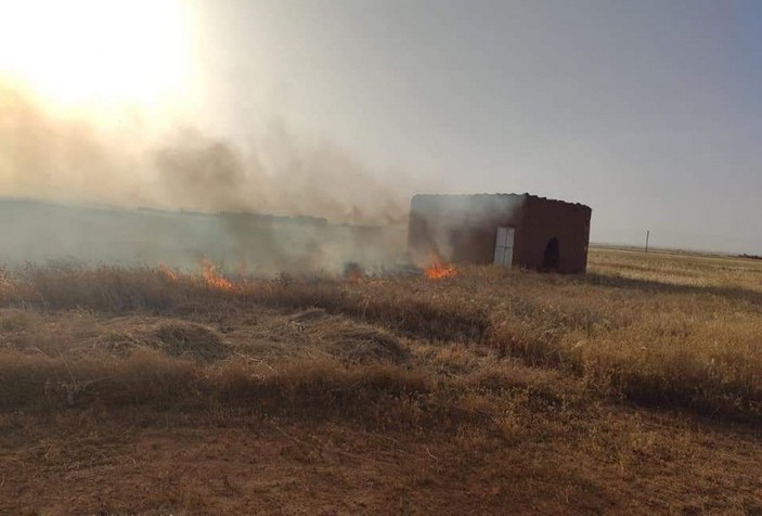 Suriye'de YPG/PKK sivillerin tarım arazilerini yaktı