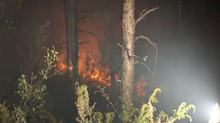Aydos Ormanı’nda atılan havai fişek yangın çıkarttı