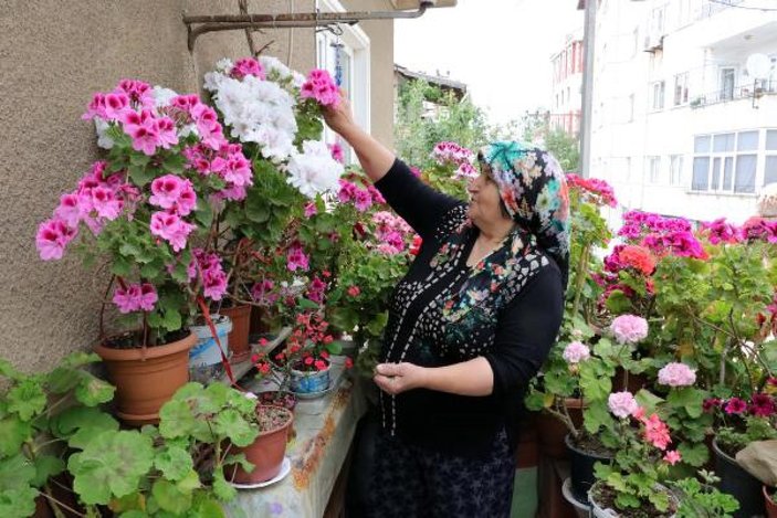 Edirne'de, evini çiçek bahçesine çevirdi