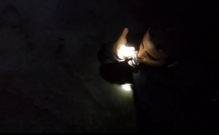 Bursa'da mağaraya giren adam yarasayı öptü