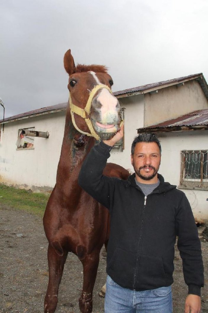 Erzincan'da cirit atının boğazını kestiler