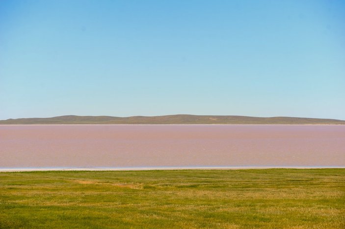 Tuz Gölü bakteriler nedeniyle pembe renge büründü