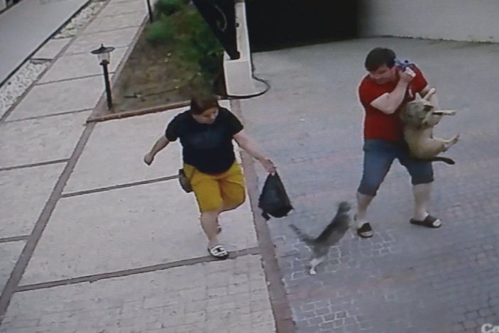Antalya'da köpekli çift, kedinin saldırısına uğradı