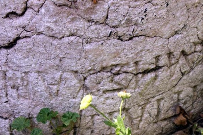 Bolu'da tarihi sütunun üstüne duvar ördüler