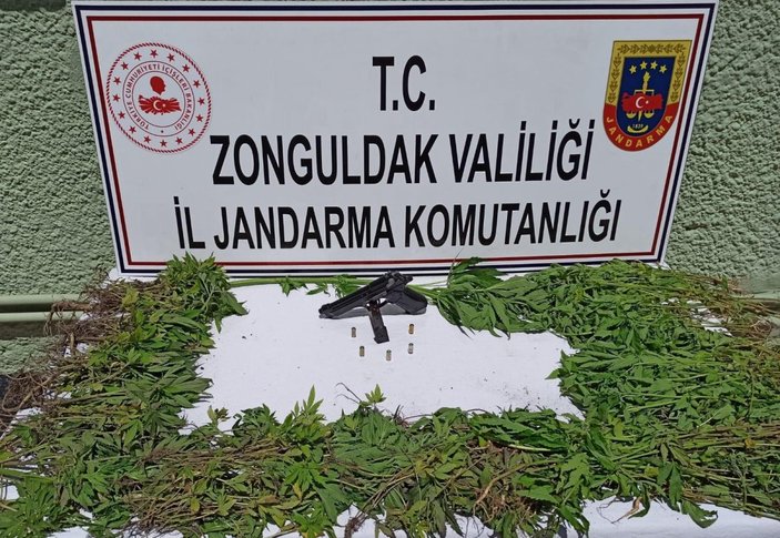 Zonguldak'ta jandarmadan uyuşturucu operasyonu: 1 gözaltı