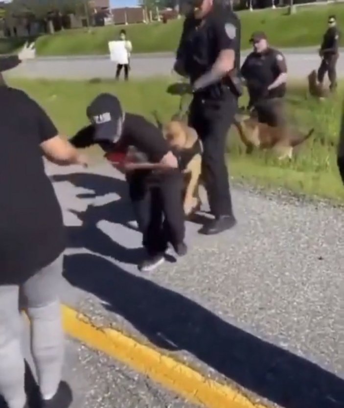 ABD'de polis köpeği, göstericiye saldırdı