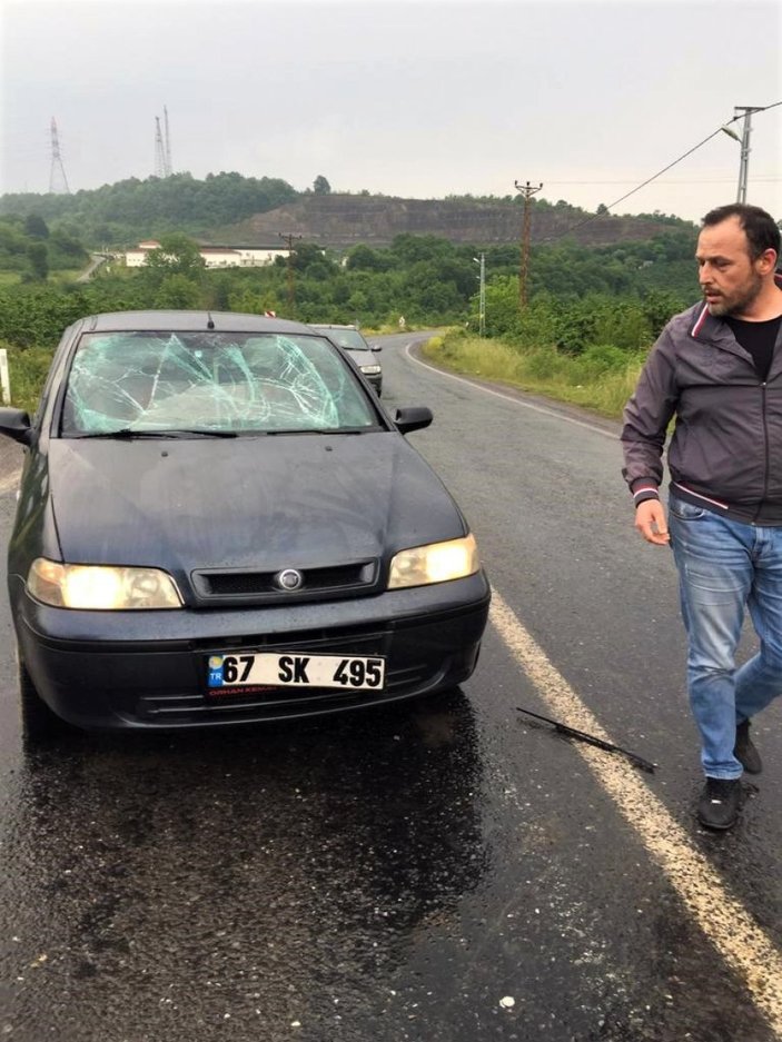 Zonguldak'ta seyir halindeki araç ineğe çarptı