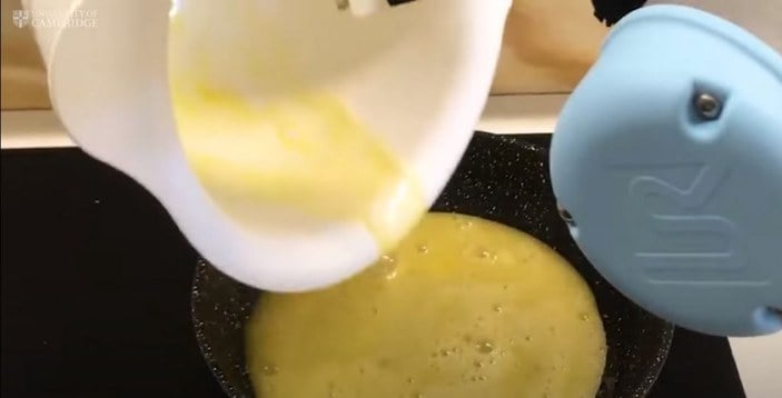 omlet-robot
