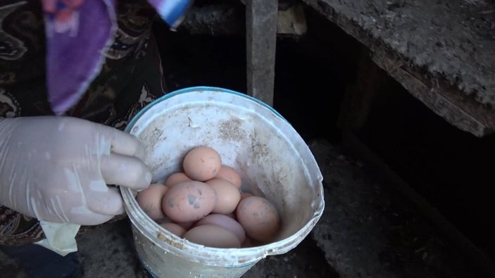 Karabük'te, yumurtaları yiyen kuşa güldüren tembih