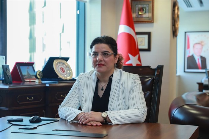 Türk Konseyi Sağlık Koordinasyon Komitesi toplandı