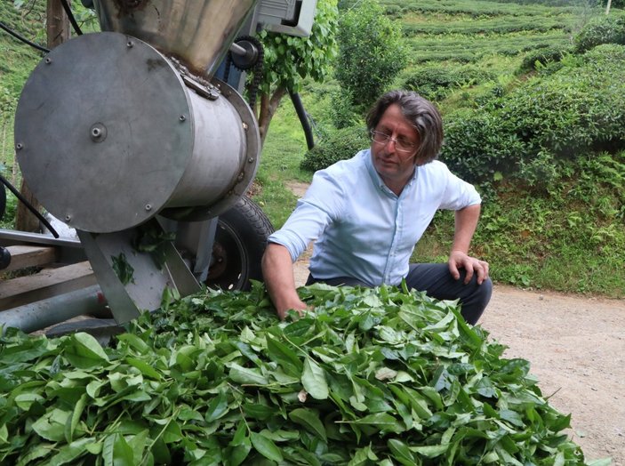 Rizeli çay üreticisi, pratik hasat makinesi geliştirdi