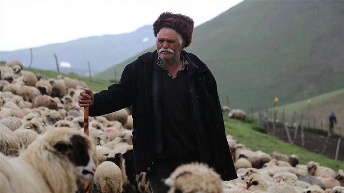 Ordulu Süleyman Dede, çobanlıkta gençlerle yarışıyor