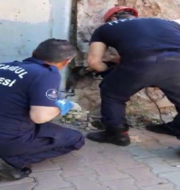 Tuzla'da duvara sıkışan kediyi itfaiye ekipleri kurtardı