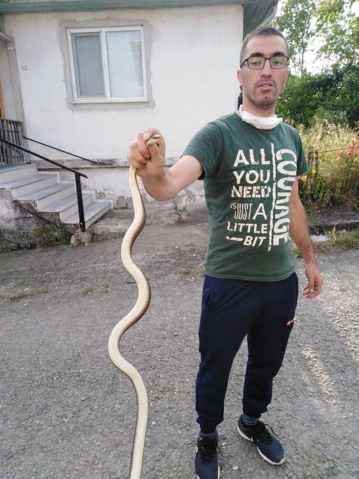 Zonguldak'ta kümesinde 1,5 metrelik yılan buldu