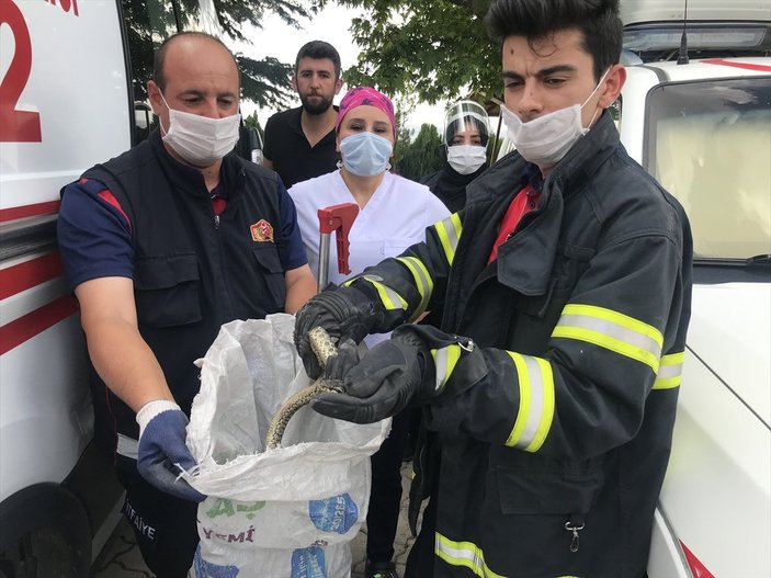 Nevşehir'de ambulansın tekerine yılan dolandı