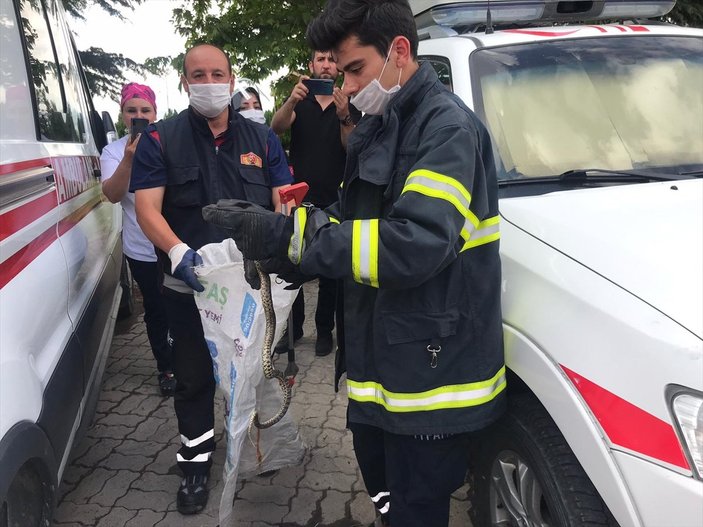Nevşehir'de ambulansın tekerine yılan dolandı