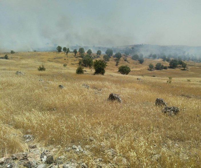 Mardin'de ormanlık alanda yangın çıktı