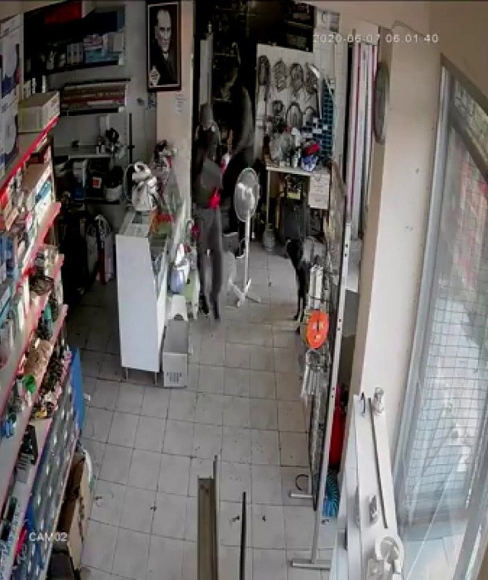 Üsküdar'da dükkana giren hırsızları izleyen köpek