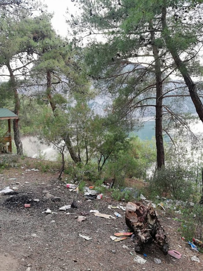 Samsun'da piknikçilerin doğa katliamı
