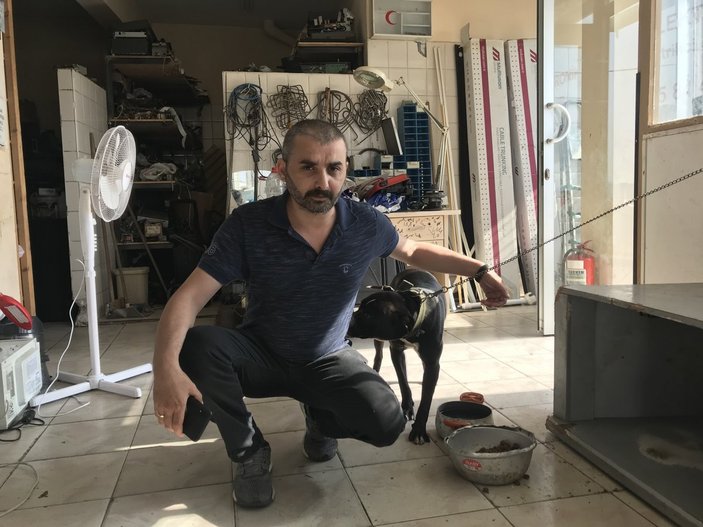 Üsküdar'da dükkana giren hırsızları izleyen köpek