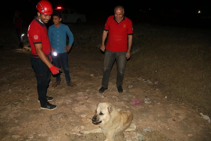 10 metrelik kuyuya düşen iki köpeği itfaiye kurtardı
