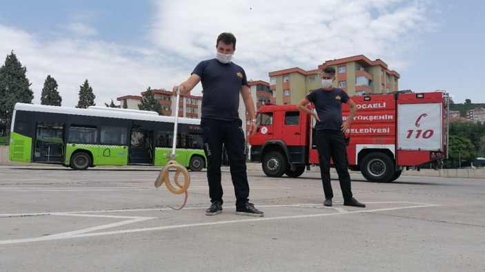 Kocaeli'de halk otobüsüne giren yılan yakalandı