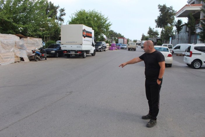 Antalya'da kamyonetin çarptığı köpek kurtuldu
