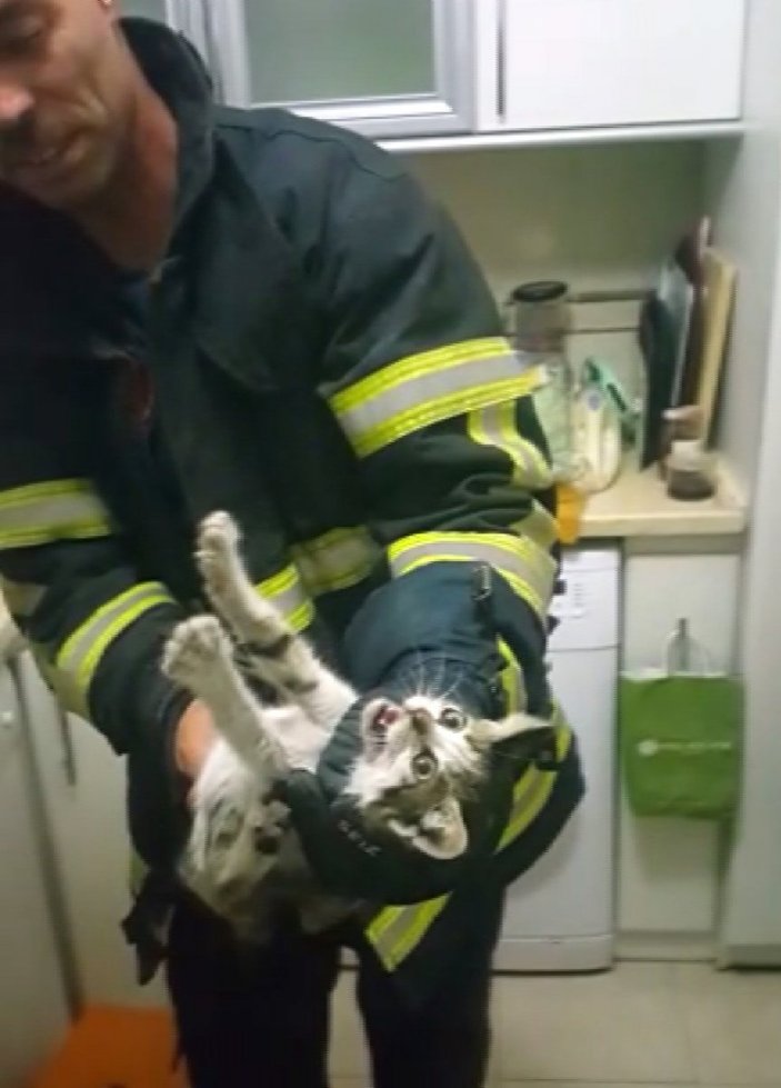 Hatay'da aspiratöre sıkışan kediyi itfaiye kurtardı