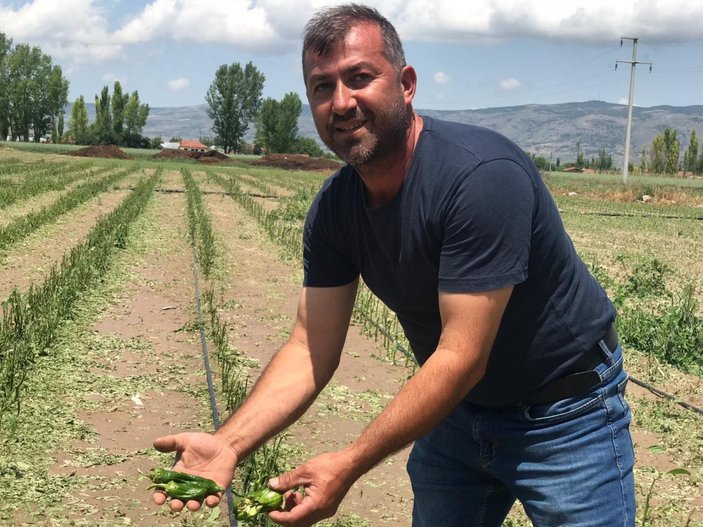 Eskişehir'deki dolu yağışı mahsulleri ziyan etti