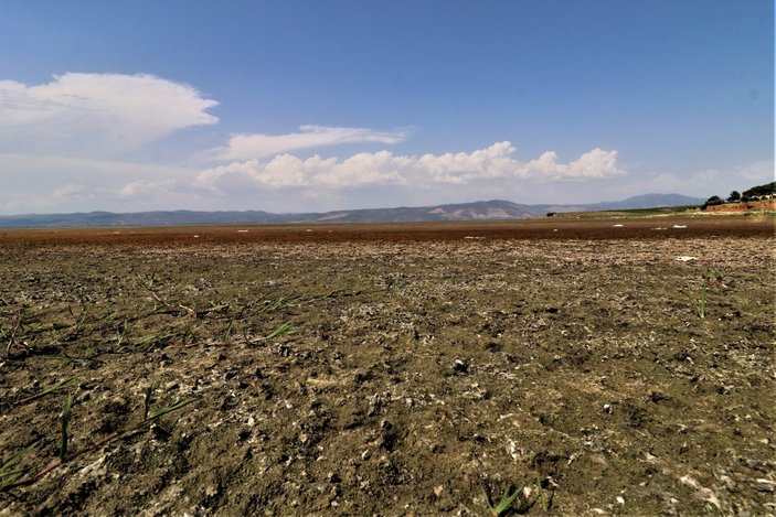 Manisa'daki Marmara Gölü kuraklıkla karşı karşıya