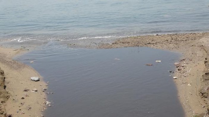 Kocaeli'de derenin kirlettiği plajda yüzdüler