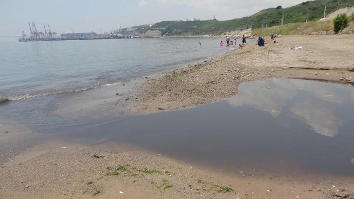 Kocaeli'de derenin kirlettiği plajda yüzdüler