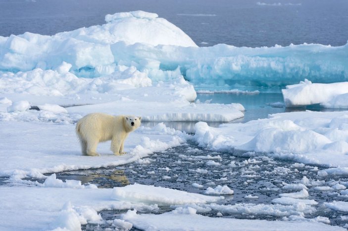 Kuzey Kutbu, ölçülen 38 derece sıcaklıkla rekor kırdı