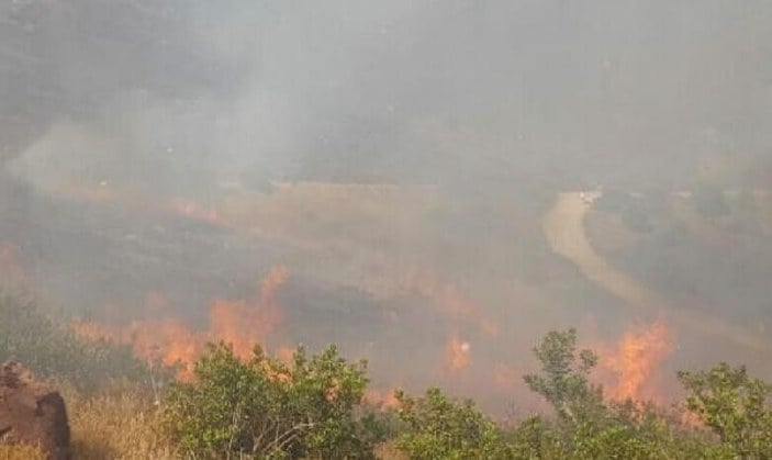 Bodrum'da makilik alandaki yangın söndürüldü
