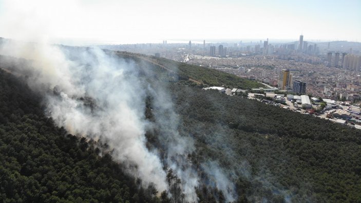 İstanbul'da orman yangını