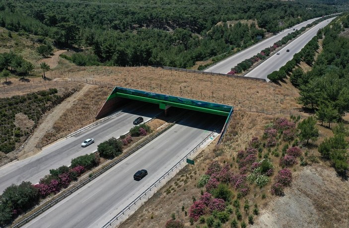 İzmir-Çeşme otoyolundaki ekolojik köprü tamamlandı