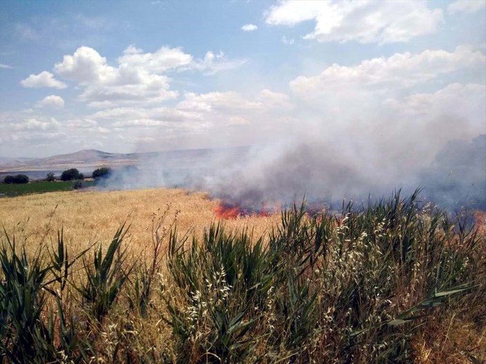 Elazığ'da arpa ekili tarlada yangın çıktı