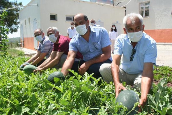 Mersin'de okul bahçesinde organik tarım yapıldı