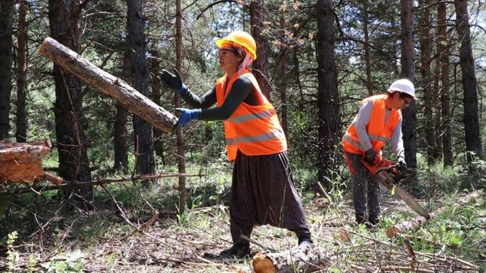 Erzincan'ın kadın ormancıları, eşlerine destek oluyor