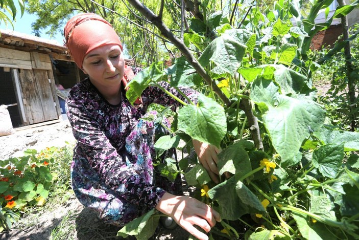 4 dil bilen Rus kadın Bursa'da çiftçilik hayalini yaşıyor