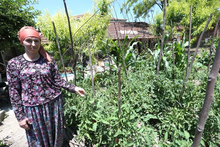 4 dil bilen Rus kadın Bursa'da çiftçilik hayalini yaşıyor