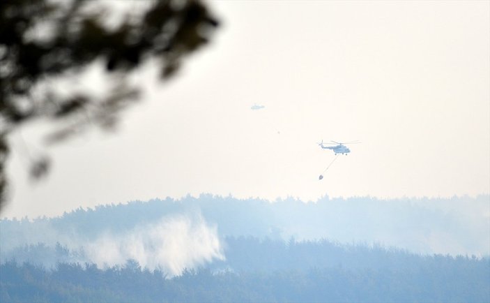 Çanakkale'deki orman yangınında son durum