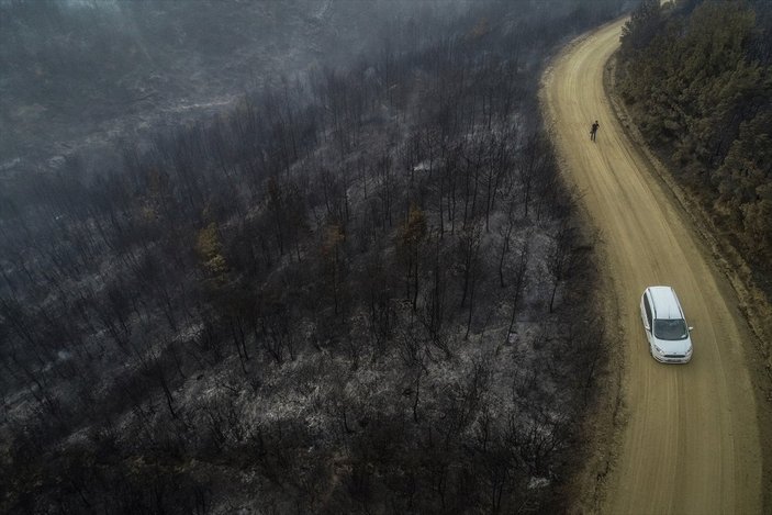 Çanakkale'deki orman yangınında son durum