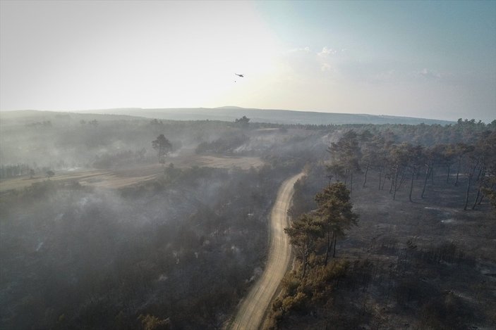 Çanakkale'deki orman yangınında son durum