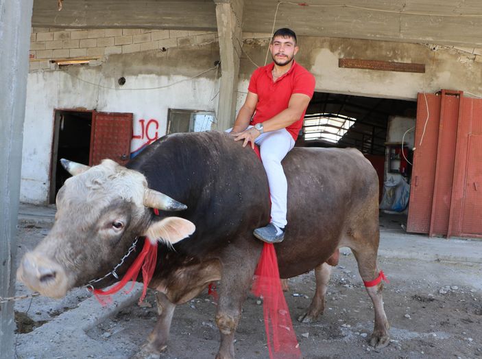 'Kayserili matador' boğası için 50 bin lira istiyor