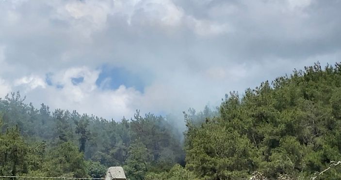 i Sarıyer'de ormanlık alanda yangın çıktı