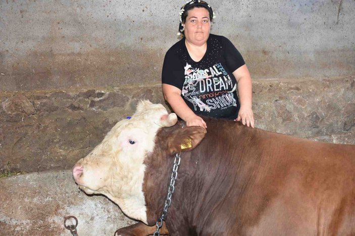 İzmir'de bin 400 kiloluk boğa kurban için satışa çıktı