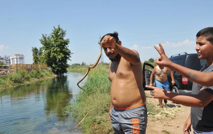 Antalyalılar yılanlı kanalda yüzüyor