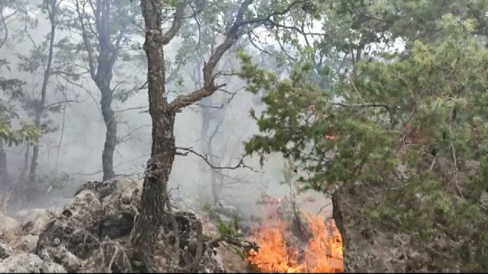 i Adıyaman'da çıkan örtü yangını ormana sıçradı