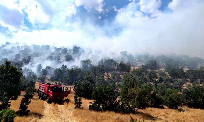 i Adıyaman'da çıkan örtü yangını ormana sıçradı